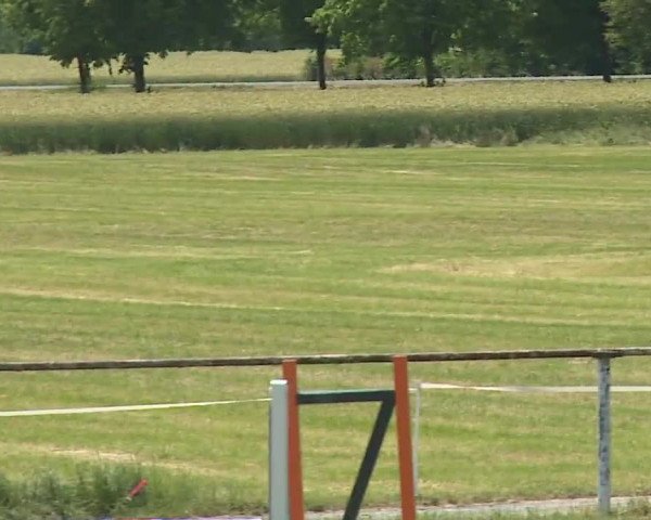 Reitturnier Bad Windsheim/Mfr. 2023