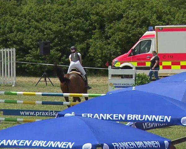 Reitturnier Bad Windsheim/Mfr. 2023