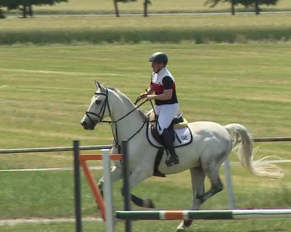Reitturnier Bad Windsheim/Mfr. 2023