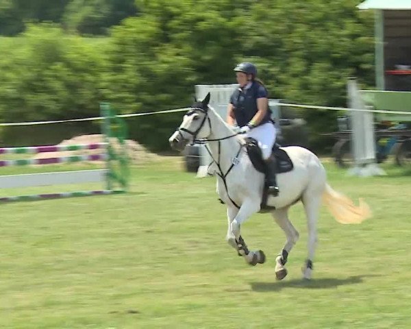 Reitturnier Bad Windsheim/Mfr. 2023
