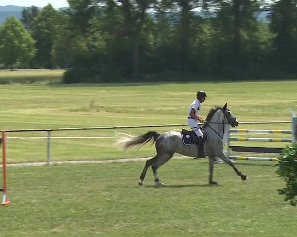 Reitturnier Bad Windsheim/Mfr. 2023