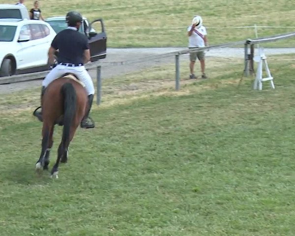 Reitturnier Bad Windsheim/Mfr. 2023