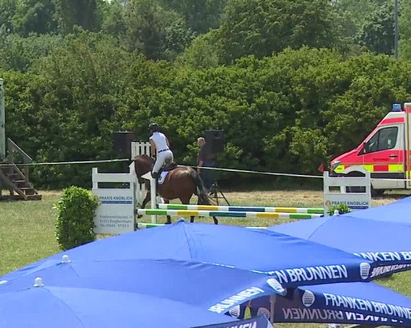Reitturnier Bad Windsheim/Mfr. 2023