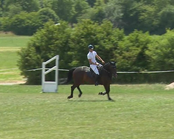 Reitturnier Bad Windsheim/Mfr. 2023