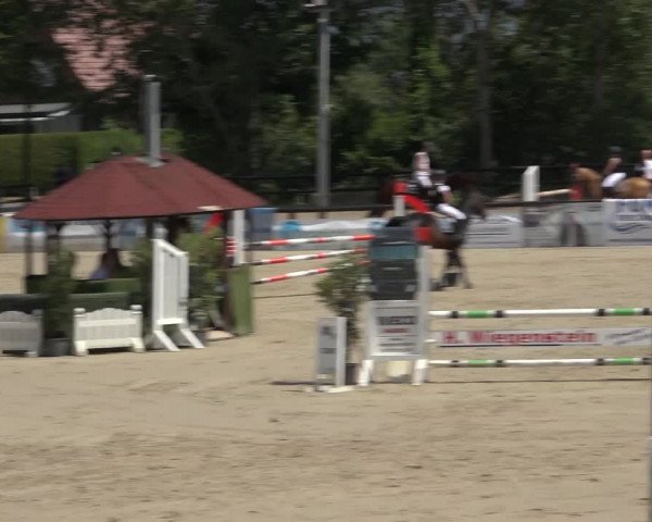 Reitturnier Ochtrup 2023