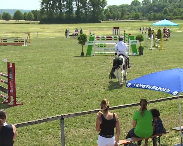 Reitturnier Bad Windsheim/Mfr. 2023