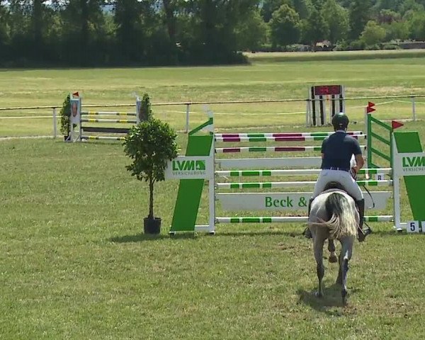 Reitturnier Bad Windsheim/Mfr. 2023