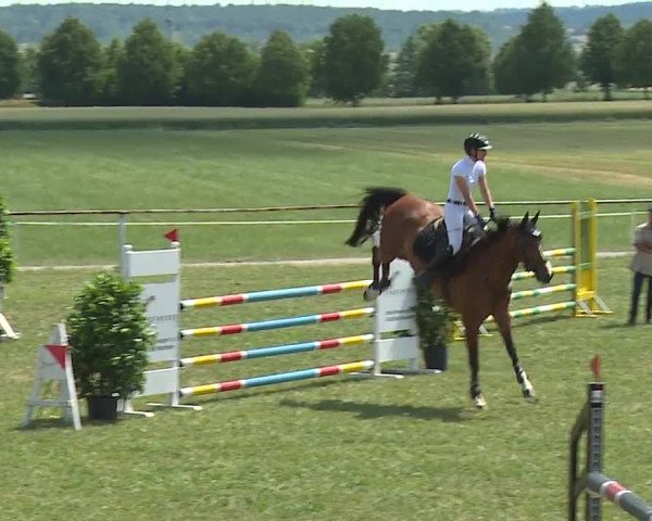 Reitturnier Bad Windsheim/Mfr. 2023