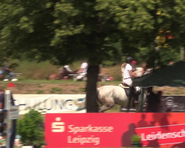 Reitturnier Löbnitz 2023