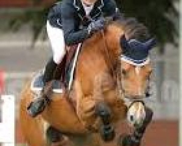 Marion Rippert