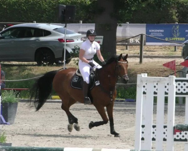 Reitturnier Handorf 2023