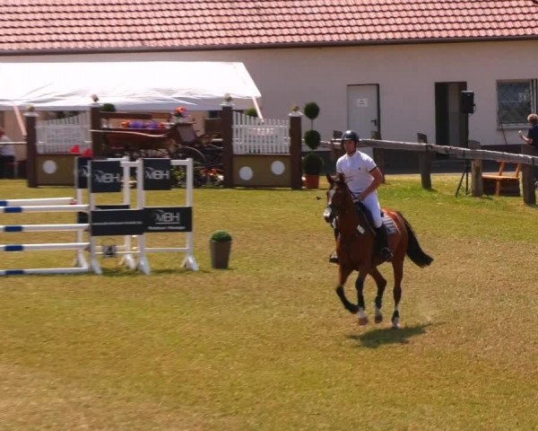 Reitturnier Wingerode 2023