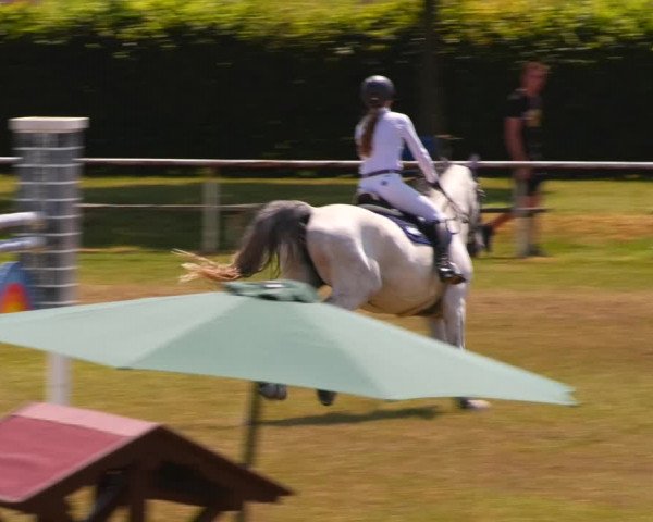Reitturnier Wingerode 2023