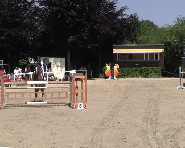Reitturnier Fröndenberg 2023