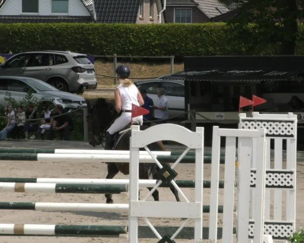 Reitturnier Handorf 2023