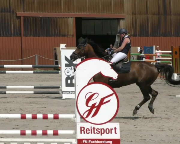 Reitturnier Handorf 2023