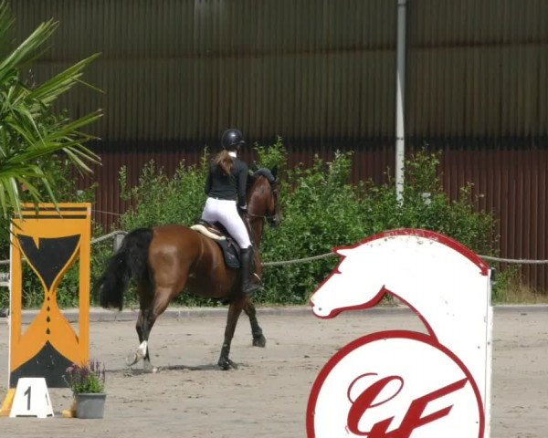 Reitturnier Handorf 2023