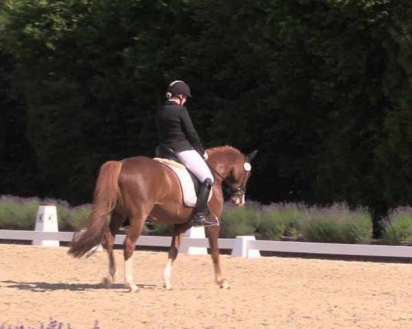Reitturnier Lindlar - Reitanlage Dückers 2023