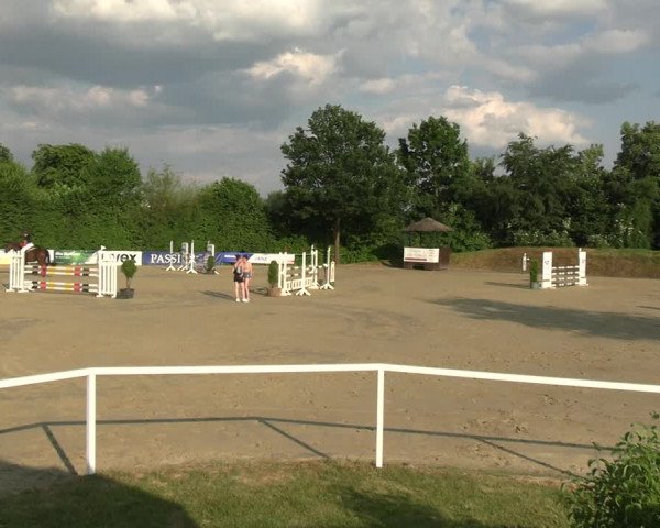Reitturnier Fröndenberg 2023