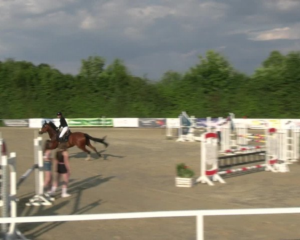 Reitturnier Fröndenberg 2023
