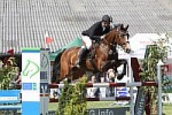 jumper Lady Sunshine 43 (Hanoverian, 1999, from Lastro)