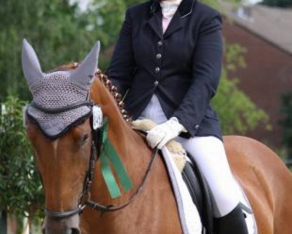 Anke Nentwig