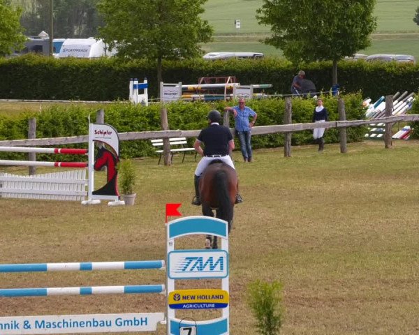 Reitturnier Wingerode 2023