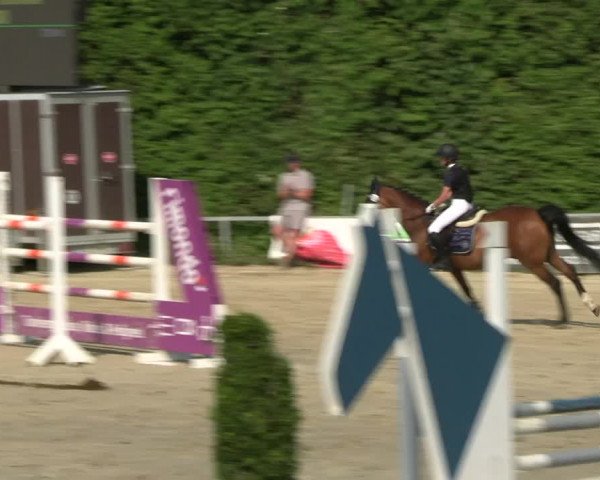 Reitturnier Fröndenberg 2023