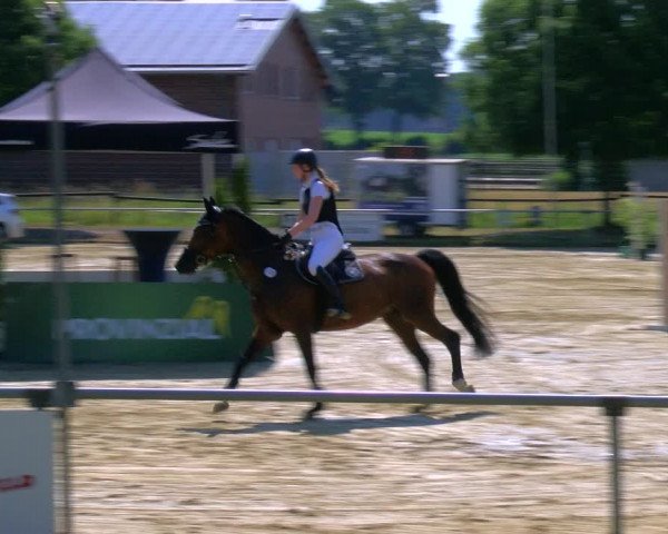 Reitturnier Coesfeld/Lette 2023