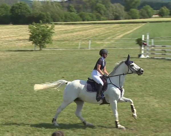 Reitturnier Bad Windsheim/Mfr. 2023