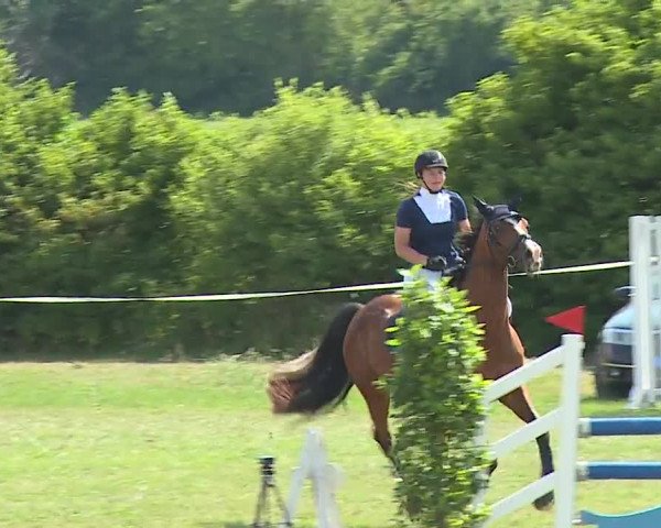 Reitturnier Bad Windsheim/Mfr. 2023