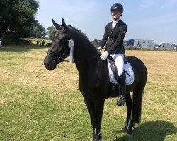 horse Friend of mine KRM (Westphalian, 2016, from Finest)