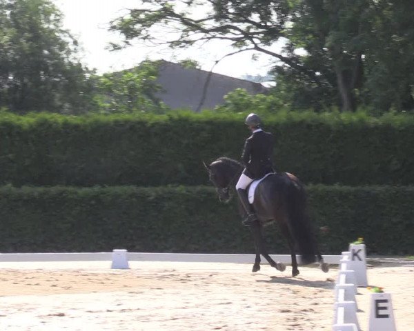 Reitturnier Wingerode 2023