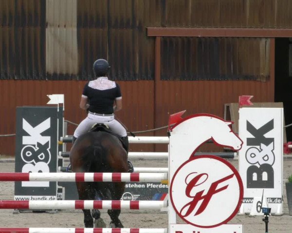 Reitturnier Handorf 2023