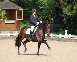 broodmare Rose of Westphalia (Westphalian, 2011, from Rock Forever NRW)