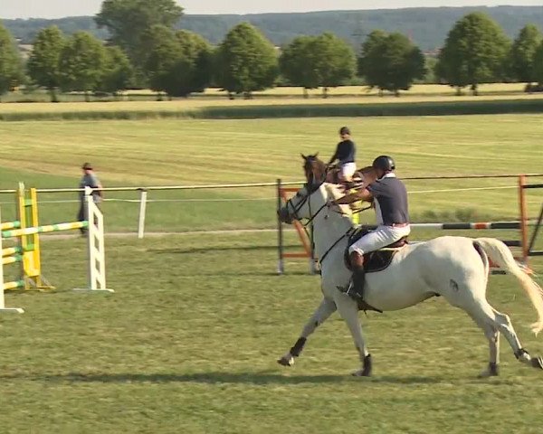 Reitturnier Bad Windsheim/Mfr. 2023