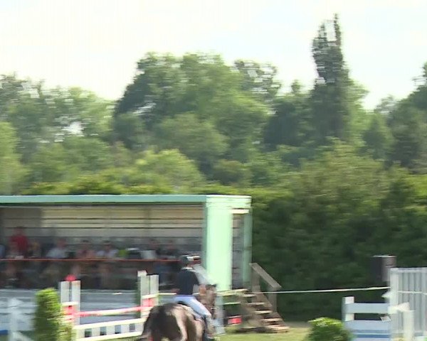 Reitturnier Bad Windsheim/Mfr. 2023