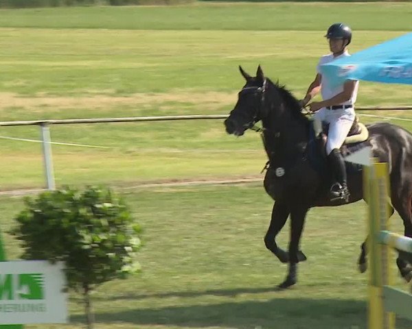 Reitturnier Bad Windsheim/Mfr. 2023