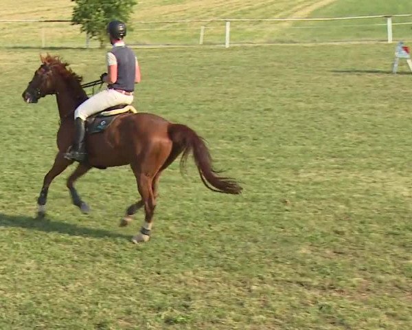 Reitturnier Bad Windsheim/Mfr. 2023