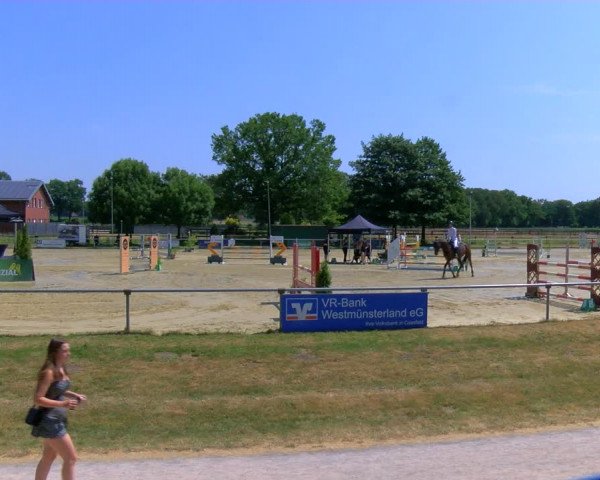 Reitturnier Coesfeld/Lette 2023