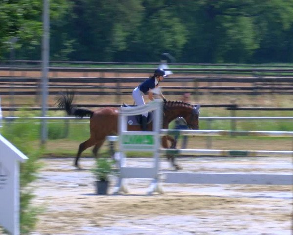 Reitturnier Coesfeld/Lette 2023