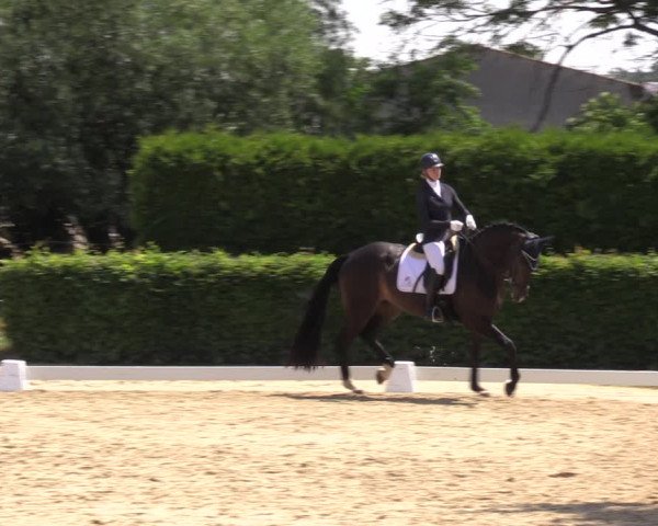 Reitturnier Wingerode 2023