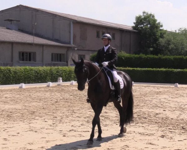 Reitturnier Wingerode 2023
