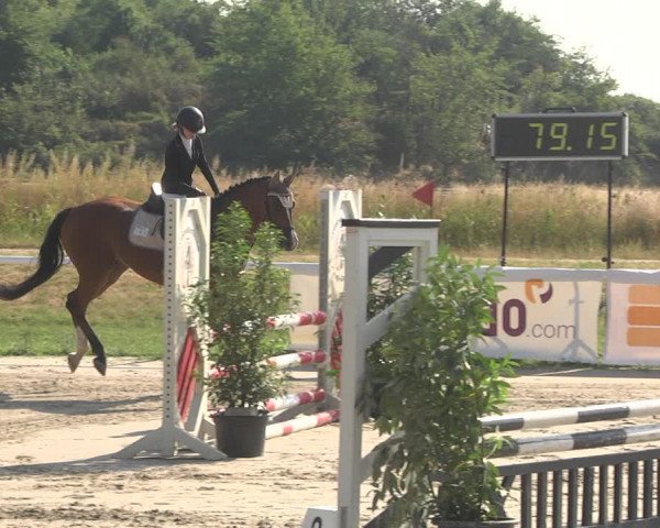 Reitturnier Biebesheim 2023