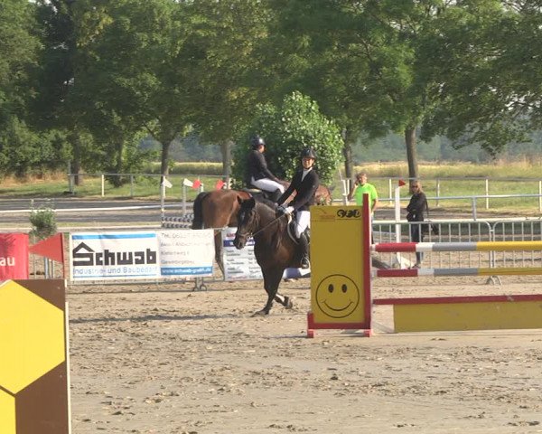 Reitturnier Biebesheim 2023