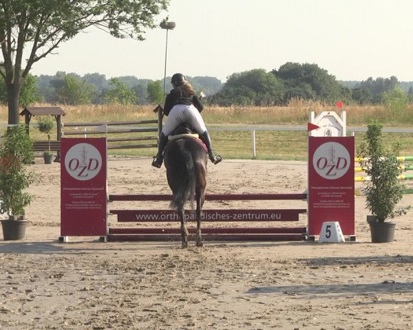 Reitturnier Biebesheim 2023