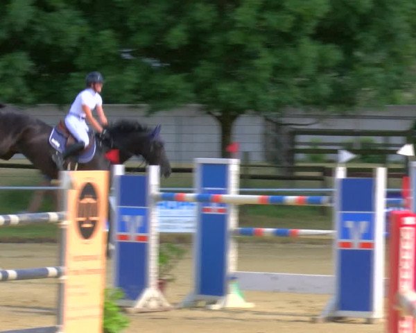 Reitturnier Coesfeld/Lette 2023