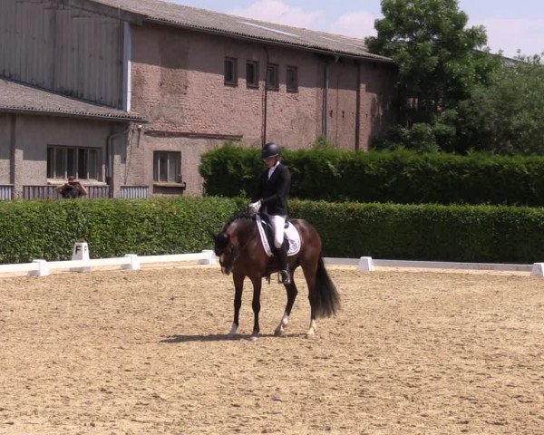 Reitturnier Wingerode 2023