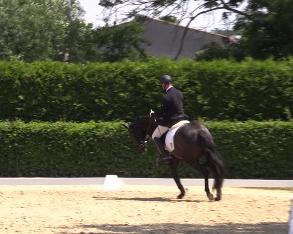 Reitturnier Wingerode 2023