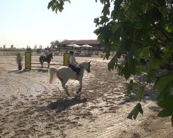 Reitturnier Biebesheim 2023